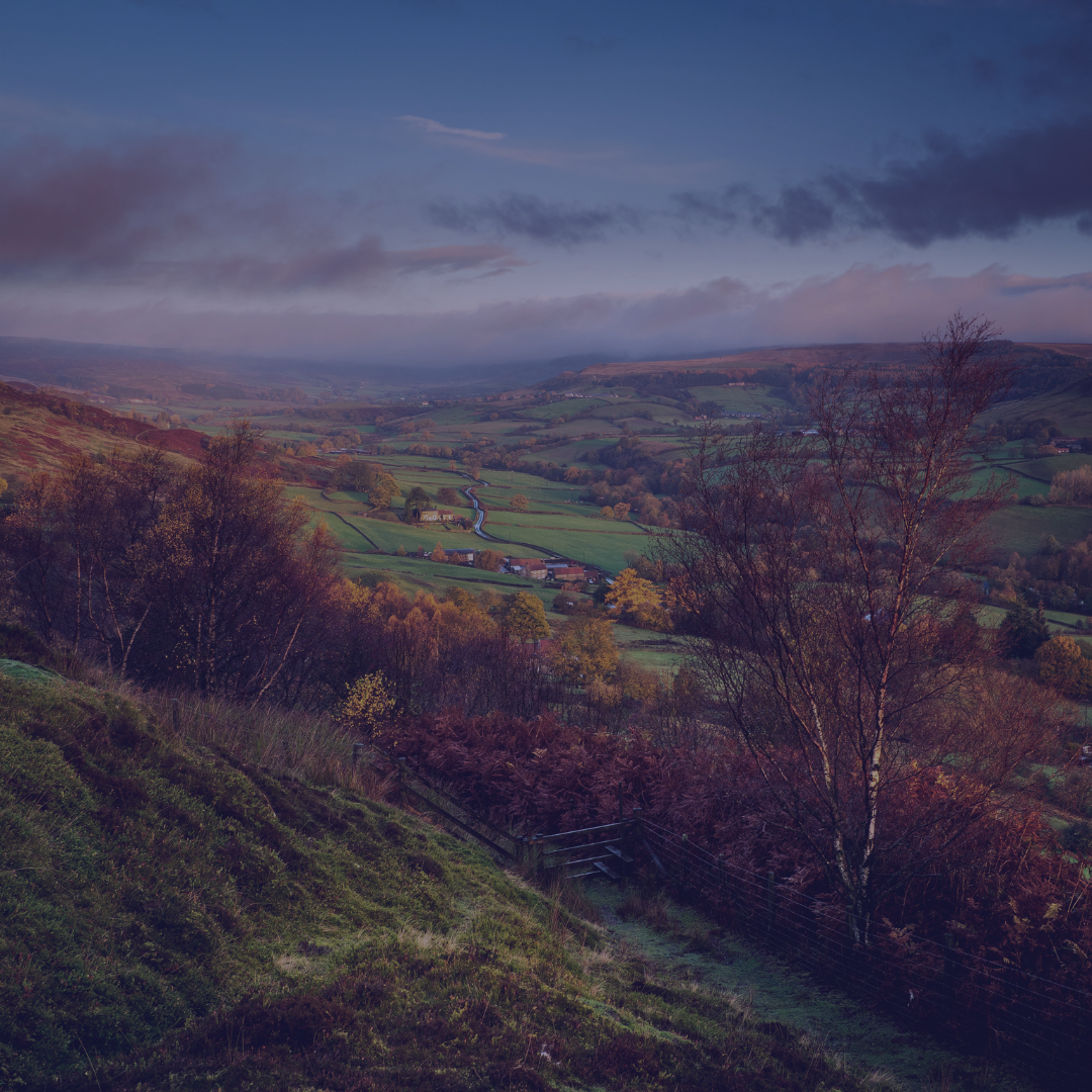 Wuthering Heights 2026 film moor landscape and gothic atmosphere